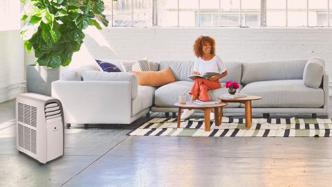 Considerations When Buying a Portable Air Conditioner Dimplex
